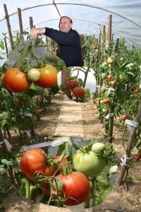 PARADAJZ ZA VRELE LETNJE DANE