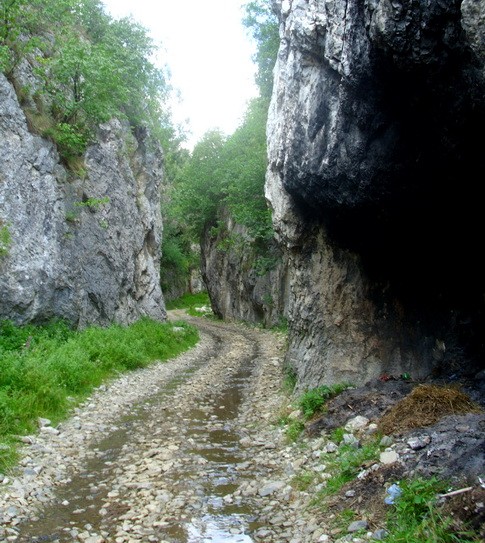 Knjazevac (2) DANAS NA FOREST-FEST-u: PREDSTAVAJU SE ZASAVICA I STARA PLANINA