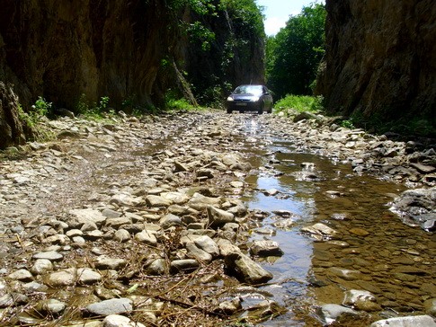 Knjazevac (3) DANAS NA FOREST-FEST-u: PREDSTAVAJU SE ZASAVICA I STARA PLANINA