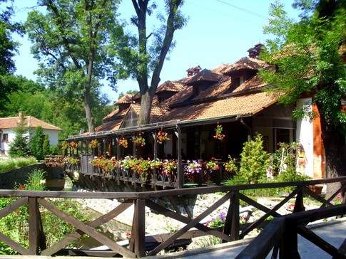 Kruna 1 NAROD KLICAO I KNEZU I KRALJU