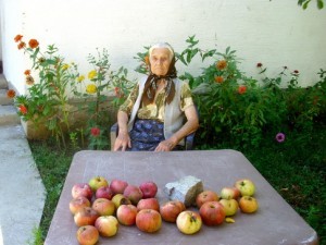 Baka Nada Ilić