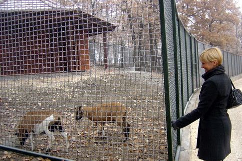Otvaranje zoo vrt 2 VUK BOJOVIĆ OTVORIO ZOOLOŠKI VRT U BORU