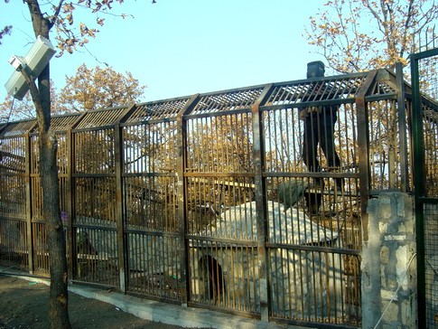 zoo vrt 10 NOVI SUSEDI: BELI LAVOVI, TIBETSKI MEDVEDI, PIRANE, ZMIJE...