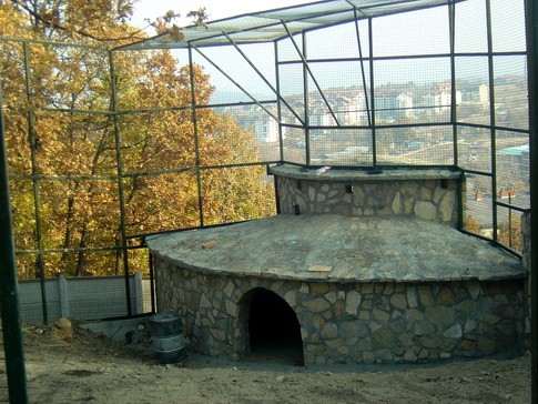zoo vrt 9 NOVI SUSEDI: BELI LAVOVI, TIBETSKI MEDVEDI, PIRANE, ZMIJE...