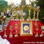 Knjazevac rostiljijada 2 “Nišlijska mehana” pobednik pete srpske roštiljijade