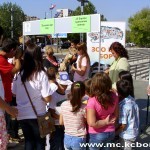 Lavić u centru Bora