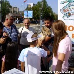 Lavić u centru Bora