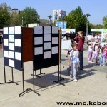 Večeras borski suvenir