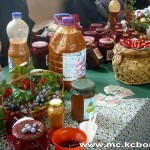 Šipurak postaje brend Srbije