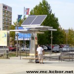 „Strawberry drvo” u Boru