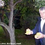 Sloba nije u nezaboravu samo borskih socijalista