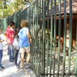 eko dani zoo vrt 10 Svetski dan divljih životinja u borskom Zoo-vrtu