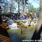 eko dani zoo vrt 9 Svetski dan divljih životinja u borskom Zoo-vrtu