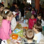 Festival nauke u Boru