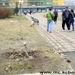 Pokrali i metalne bandere