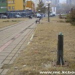 Pokrali i metalne bandere