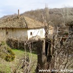 Bracevac 3
