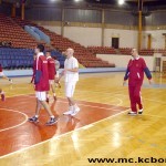 Kosarka Bor 3