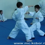 DSC00344zasajt