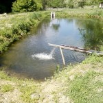 Jakovac 1