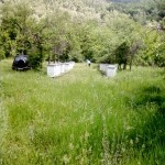 Jakovac 4
