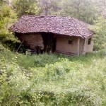 Jakovac 7