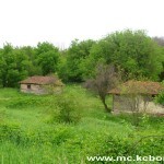 Jasenica pivnice 1