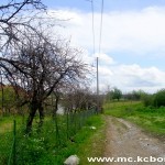 Negotin napad gubara 1