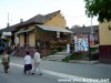 Pola francuske kuce 2