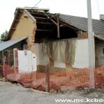 Pola francuske kuce 3