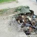 Zapaljen kontejner 2