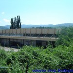 dzervin1