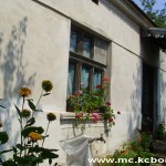 Strbac 5