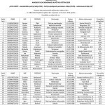 Izborna lista SPS Bor