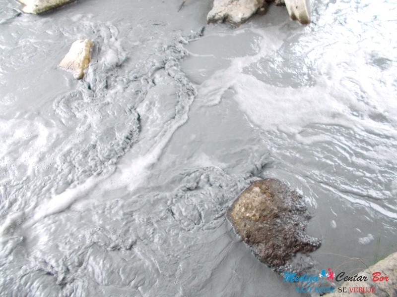 Cerovo zagadjenost 1