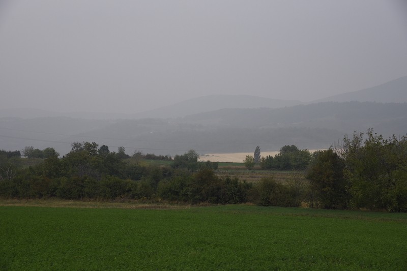 Ostrelj prasina