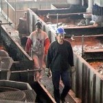 U RTB-U BOR SPREMA SE VELIKA „SELIDBA” ZAPOSLENIH U RTB-U BOR SPREMA SE VELIKA „SELIDBA” ZAPOSLENIH
