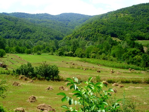 Poljoprivreda: Podrška za budućnost