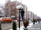 BOR POD SNEGOM BOR POD SNEGOM