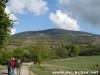 Strašno: 36 krava u Novom Koritu crkava od žeđi Strašno: 36 krava u Novom Koritu crkava od žeđi