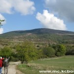 Strašno: 36 krava u Novom Koritu crkava od žeđi