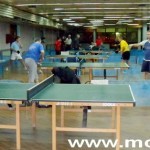 Stonoteniska liga Bora