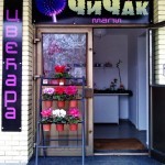 Specijalni popusti povodom 8. marta u cvećari "Čičak mali"