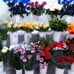 Specijalni popusti povodom 8. marta u cvećari "Čičak mali"