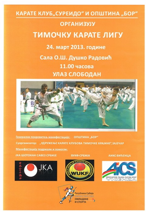 Timočka karate liga