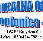 Topionica RTB Bor: Sindikat rudara je patuljast, Samostalni sindikat je uvređen i ponižen! 