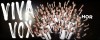 Bor: Koncert hora "Viva Vox" 18. maja