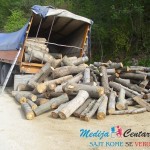 Kamion s drvima u kanalu