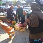 Klime džabe delio jabuke na Zelenoj pijaci Klime džabe delio jabuke na Zelenoj pijaci