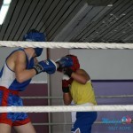 Boks ponovo u Boru posle 25 godina